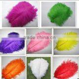 18-20cm Frozen Turquoise Ostrich Feather Wholesale thumbnail-1