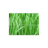 9500Dtex Apple Green Artificial Grass Turf for University Soccer & Football Playground