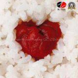 2014 Chinese Hot Sale Tomato Paste Ketchup