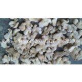 Dry Ginger Wholesale thumbnail-3