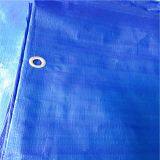 Low Odor Shrinkproof 8x10m 10x10m Waterproof Tarpaulin Covers thumbnail-1