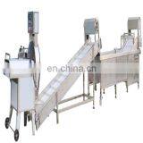 High Efficiency Potato Chips Processing Plant/fried Potato Chips Line thumbnail-2