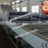 Fruit Sorting Machine Fruit Grading Machine Potato Grader thumbnail-4