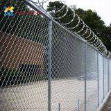 PVC Coated 200x200 opening 8 ft chain link fence with height 1500mm