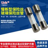 Made in China glass fuse 5*20 protector 2A250V6*30 flat head tubular fuse 3*10