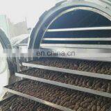 Multi Functional Vacuum Freeze Dryer Raw Food Dehydrator thumbnail-4