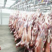 Automatic Sheep Slaughter Machine Carcass Processing Conveyor For Sheep Slaughterhouse thumbnail-2