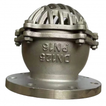 DN400 Stainless Steel 304 ANSI Flange Foot Valve Ductile Iron Foot Valve With Strainer for Water Pump Non Return Valve Price thumbnail-4