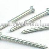 Self Tapping Screw