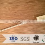 6g AME Toothpaste /airline used transparent tooth brush with nylon bristle with cover