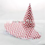 kids birthday party paper hats