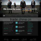 Website Portal Design