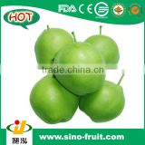 [HOT] Green Su Pear supplier in China
