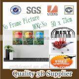 New Material PET 1.5mm No Frame Picture PET 3D Lenticular Card Printing, 3d Picture