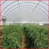 Greenhouse Polycarbonate Hollow Sheet for Sale thumbnail-2