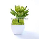Wholesale High Quatity Artificial Decorative Succulent Plants,cheap Artificial Plants thumbnail-1