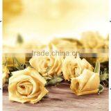 Polyester Flat Printed Fabric