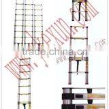 Telescopic Ladder With EN131
