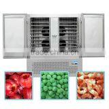 MKK TKLD-250L Meat Display Refrigerator Freezer With Tecumseh Compressor Achieve -45degree008