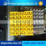Directly Factory Precision Manufacturing Plastic Egg Case Mould thumbnail-2