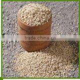 NATURAL SESAME SEEDS thumbnail-1