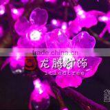 Simulation Bonsai Tree With Lighting thumbnail-4