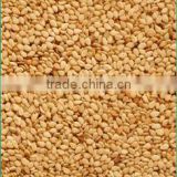 SESAME SEED NATURAL BEST QUALITY
