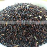 Organic Rice Berry From Thailand OEM thumbnail-3