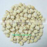 Vietnam White Lotus Seeds (the Best Quality) thumbnail-1