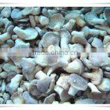 Cultivated Crops /100% Natural China Health Food Mushroom thumbnail-1