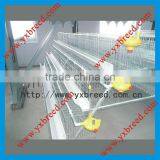 Design Nest Layer Battery Chicken Cage For Laying Hen