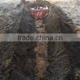 Charcoal Best Grill thumbnail-1