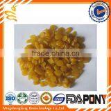 EU Organic Certified 100% Pure Refined Beeswax thumbnail-5