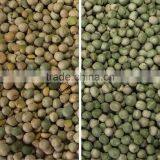 Pulses Color Sorter With High-resolution CCD Camera thumbnail-2