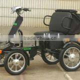 Two Seat Electric Bike thumbnail-1
