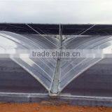 Chinese Large 10 Meters Multi-Span Plastic Film Greenhouse, Vegetables Greenhouse thumbnail-2