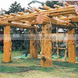 Forestland of 25ha in Tokachi,Hokkaido, Japan thumbnail-3