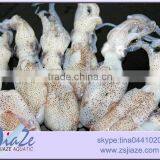 Zhoushan Aquatic Product Frozen Baby Squid thumbnail-2