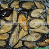 IQF Chair de Moules Avec Demi Coque thumbnail-1