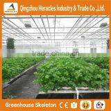 Agricultural Greenhouses For Soilless Hydroponics / Nft Systems For Tropical And Desert Areas thumbnail-4