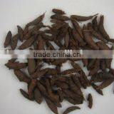 Dried Cyperus Rotundus,Nutgrass,Nutgrass Galingale Rhizome,Rhizoma Cyperi,Nutsedge,Xiang fu Zi,Xiangfu,Cyperus Root thumbnail-1