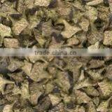 TRIBULUS TERRESTRIS thumbnail-2