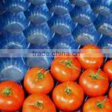 Plastic Packaging Tray With Holes Black thumbnail-1