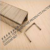 P Staple Price, p Staple,P Staple Factory,P Staple Sale thumbnail-2