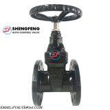 DIN3352 F4 DN80 NRS Grey Iron Flanged End Gate Valve thumbnail-1