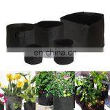 Hot Sale Big Size 15 Gallon Felt Plant Grow Bags for Strawberry thumbnail-5