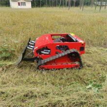 Remote Controlled Lawn Mower With Best Price in China thumbnail-2