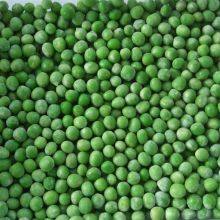 Frozen Green Peas thumbnail-5