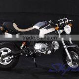 SKYTEAM 50CC 4 stroke New Cafe PBR msx ksr STYLE bike ZB50 (EEC Approval)