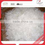 Popular Washed Goose Down Feather for Sale thumbnail-5